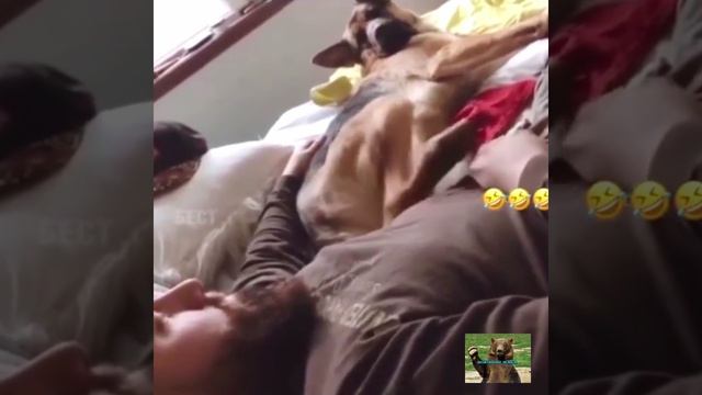 Че ты меня бесишь