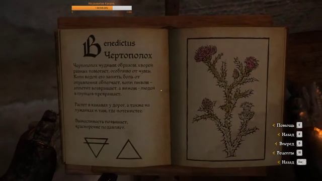 Kingdom Come Deliverance.№20. Травим их ядом! смотреть онлайн