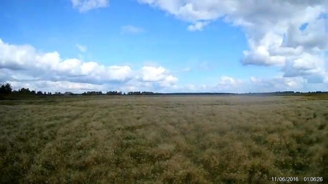 1 часть. Планировка участка/Площадка для содержания животных. смотреть онлайн