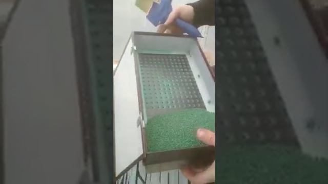 Посадка редиса