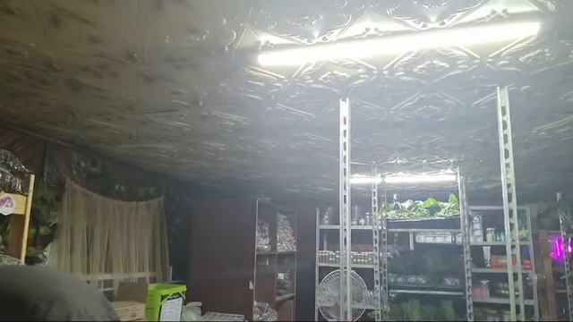 Орхоночь смотреть онлайн