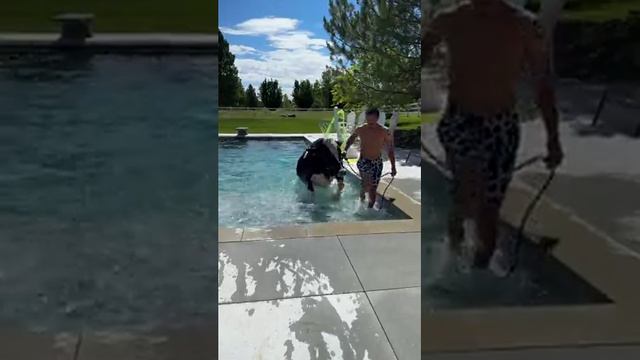 Провёл выходные с тёлочкой смотреть онлайн