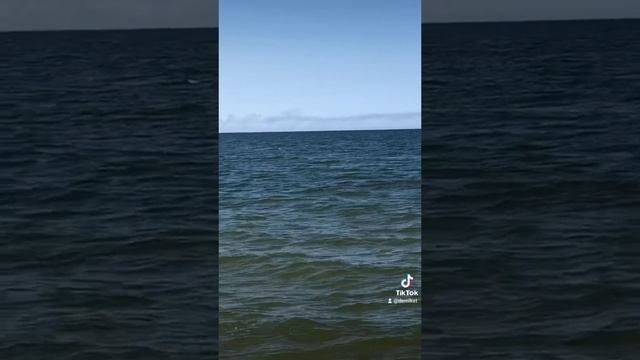 русский корабль не идёт ? смотреть онлайн