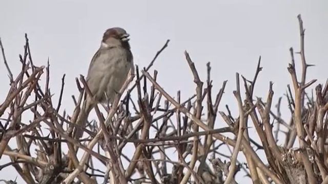 При правительстве Самарской области будет создана специальная антикризисная рабочая группа смотреть онлайн