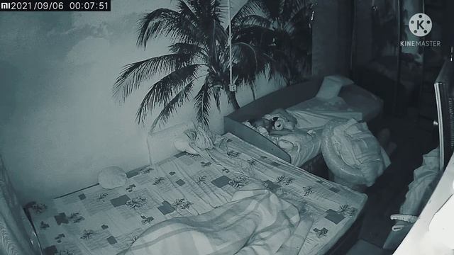 Активность Орбов, во время сна человека.