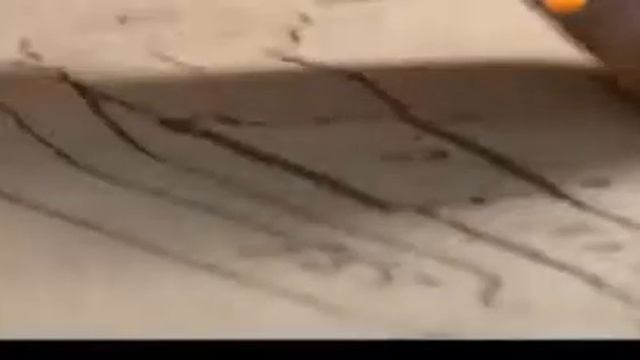 Шамбала. Гора Кайлас. Обитель для избранных.