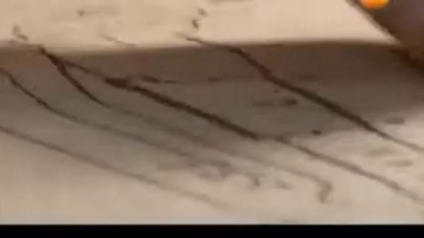 Шамбала. Гора Кайлас. Обитель для избранных.