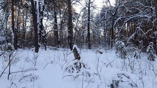 Лыжная прогулка смотреть онлайн