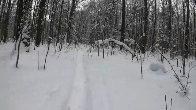 Лыжня в Измайловском парке: температура -9°, пухлый снег, беговые лыжи Fischer Sporty Crown IFP смотреть онлайн