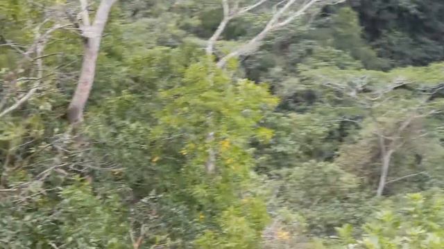 Chamarel Waterfall / Водопад Шамарель смотреть онлайн