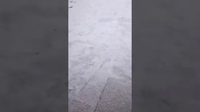 Вот такой снег у нас в Астрахани смотреть онлайн