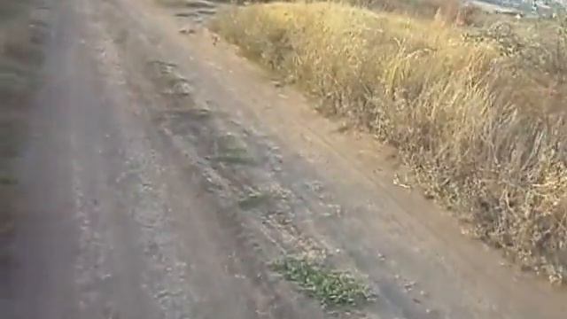 Рыбалка на даче. Август 2016. смотреть онлайн