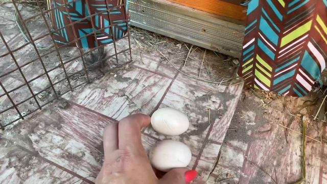 Новости Плохие и Хорошие смотреть онлайн