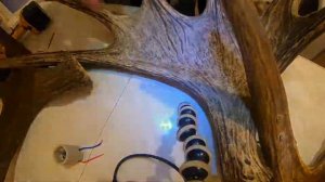 Баня в лесу.  Люстра из рогов лося.