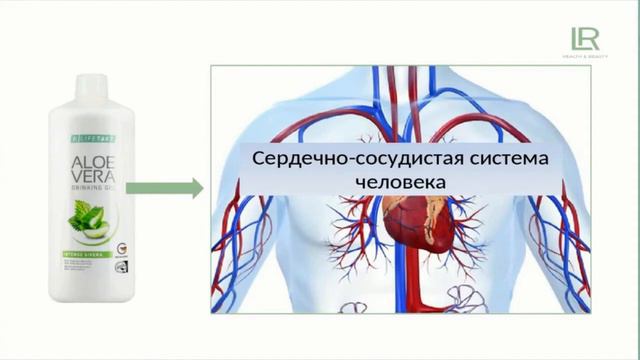 Для кого предназначен гель Алоэ Сивера Доцент Т.Шерстобитова смотреть онлайн