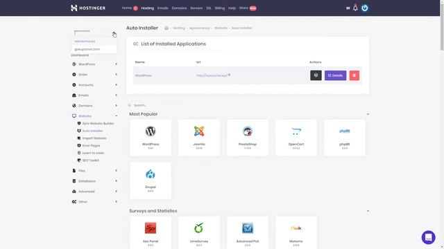 Hostinger Custom Control Panel Walkthrough, Important Settings for Beginners смотреть онлайн