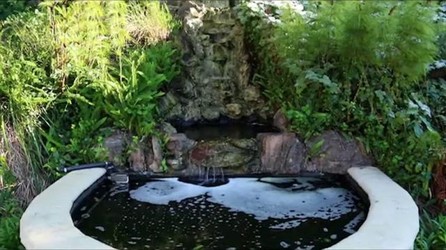 Sugarbird Manor смотреть онлайн