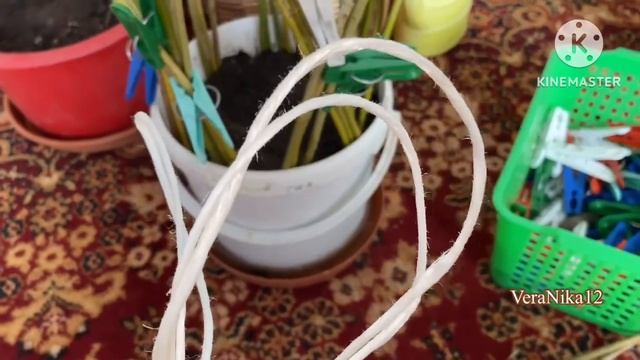 Русская пальма из ивы. Вспоминаю давнее увлечение( хобби)Влог.Адамовка 2 мая 2023 г. смотреть онлайн