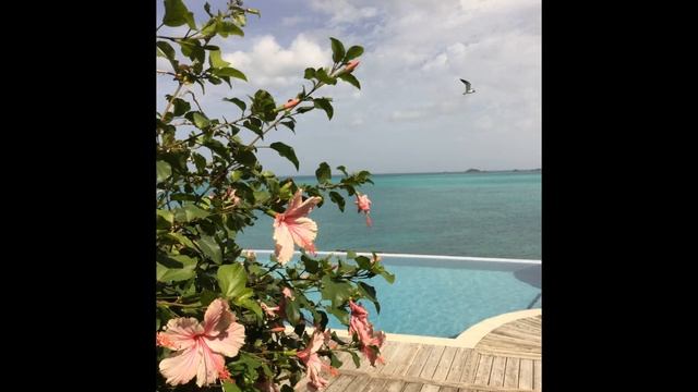 Antigua and Barbuda смотреть онлайн