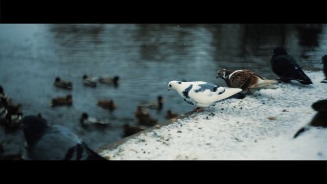 Canon RP + Helios 58mm/f2 | Cinematic Video