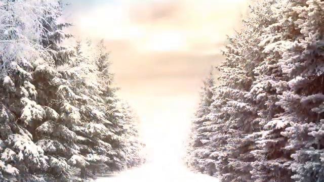 1 января 2021 г. смотреть онлайн