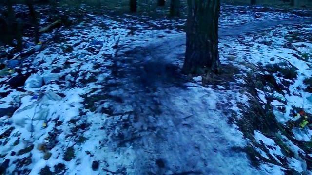 Загрязнение леса в Нежине смотреть онлайн