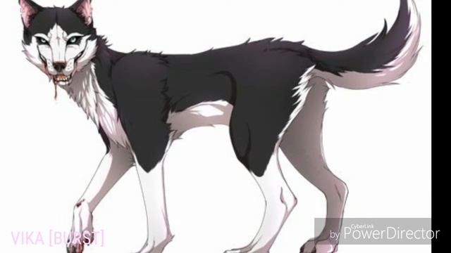 История Smile Dog -- Рядом смотреть онлайн