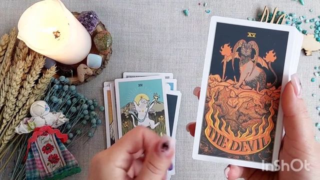 Распаковка+первое впечатление таро кошек с алиэкспресс stray cat tarot размер 7*12см! смотреть онлайн