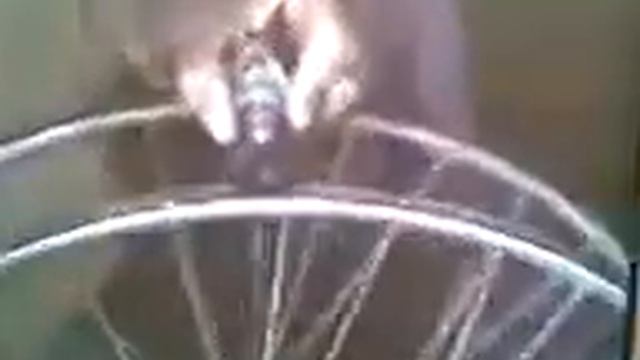 Электричество от маятника. Новосибирский изобретатель Аркадий Павлович Кулигин. смотреть онлайн