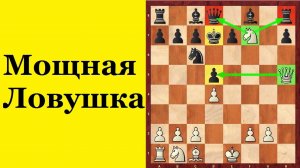 ЗАЩИТА АЛЕХИНА. ЛОВУШКА в ДЕБЮТЕ.