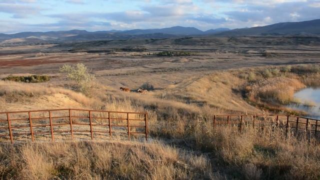 Опустевшее Тайганское водохранилище смотреть онлайн