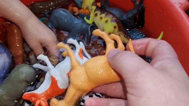 Моем животных смотреть онлайн