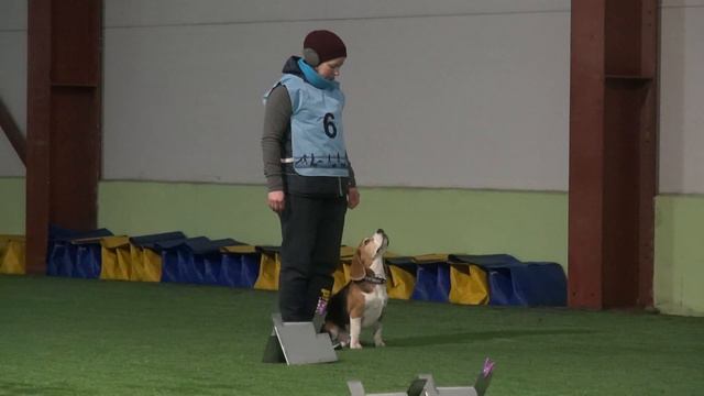 Шерстнева Наталья Бигль Анви Хай Лайн Цезарь соревнования по Ралли обиденс РО2 22.02.21 1 трасса. смотреть онлайн