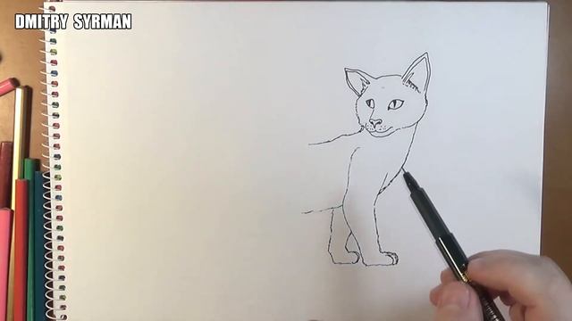 How to draw brambleclaw, Cats Warriors, Как нарисовать Ежевику, Коты Воители смотреть онлайн