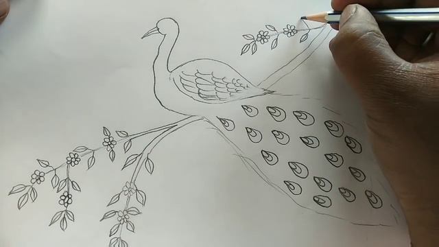 मोर का चित्र बनाना सीखें || How to Draw a Peacock very easy for beginner step by step ,Pencil Sketc смотреть онлайн