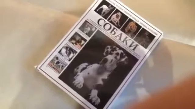 Книга про собак смотреть онлайн