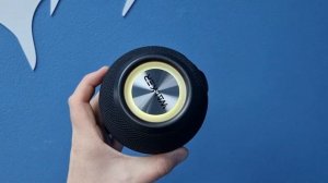 Колонка Walker WSP 115