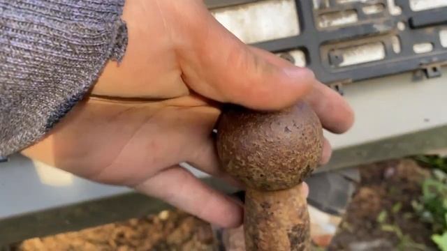 Kia Ремонт и обслуживание: Rio, Sportage, Ceed