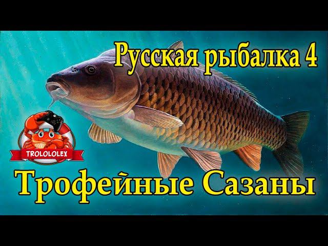 Русская рыбалка 4. Ахтуба. Трофейный Сазан. Несколько трофеев за час. смотреть онлайн