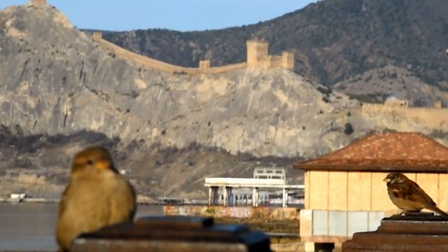 Последний день зимы в Судаке - 2019