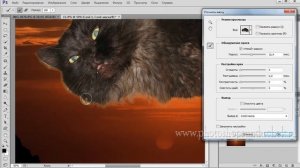 Выделение сложного объекта в фотошопе | Использование команды "Уточнить край"