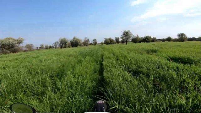 ? Эндуро по живописным местам! Последний жаркий день. Река Обь. Мотоцикл KAYO T4 смотреть онлайн