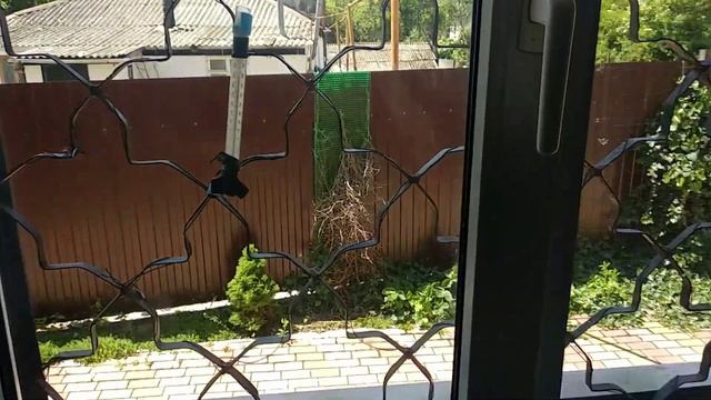 I Can , убираюсь в доме , тяжело дышать