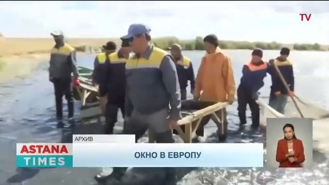 Казахстанские фермы смогут поставлять рыбную продукцию в Европу смотреть онлайн