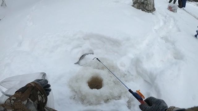 НА СЕВЕРЕ РЫБУ ЛОВЯТ МЕШКАМИ....ВСЕ ТАК ДУМАЮТ! ЗИМНЯЯ РЫБАЛКА 19-20 ДЛЯ ДУШИ! смотреть онлайн