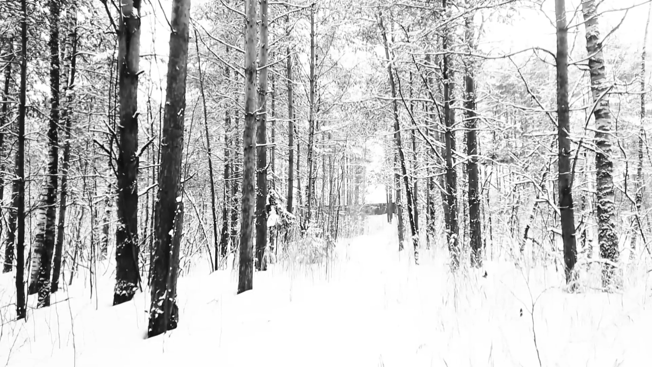 Фейлы за 2022