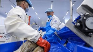 Новый рыбоперерабатывающий завод построили на Камчатке