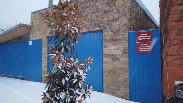 На улице -6 Пальмы без укрытия! смотреть онлайн