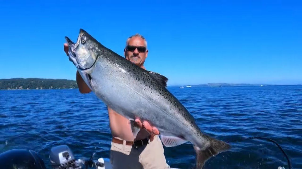 Как живет лосось: От дикой природы до фермерского хозяйства смотреть онлайн