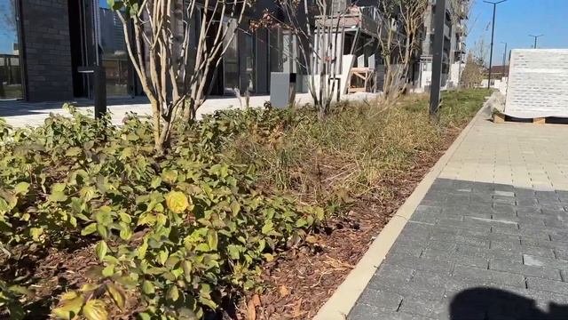 Живые дома в Краснодаре? Гарантия на обрывной! Это называют класс Prime? смотреть онлайн